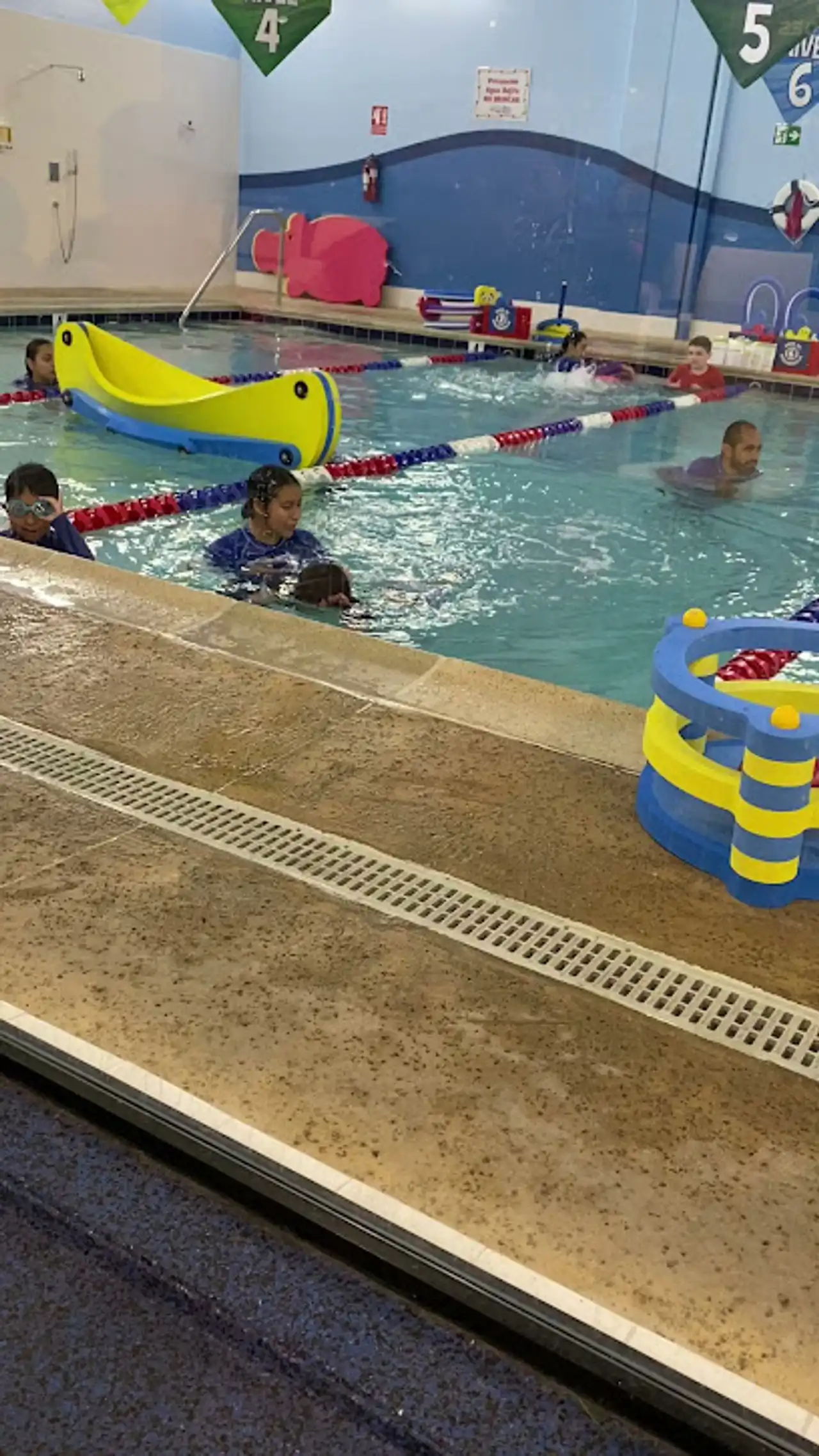 Las 10 Mejores Escuelas de Natación para Niños en Tijuana (México)