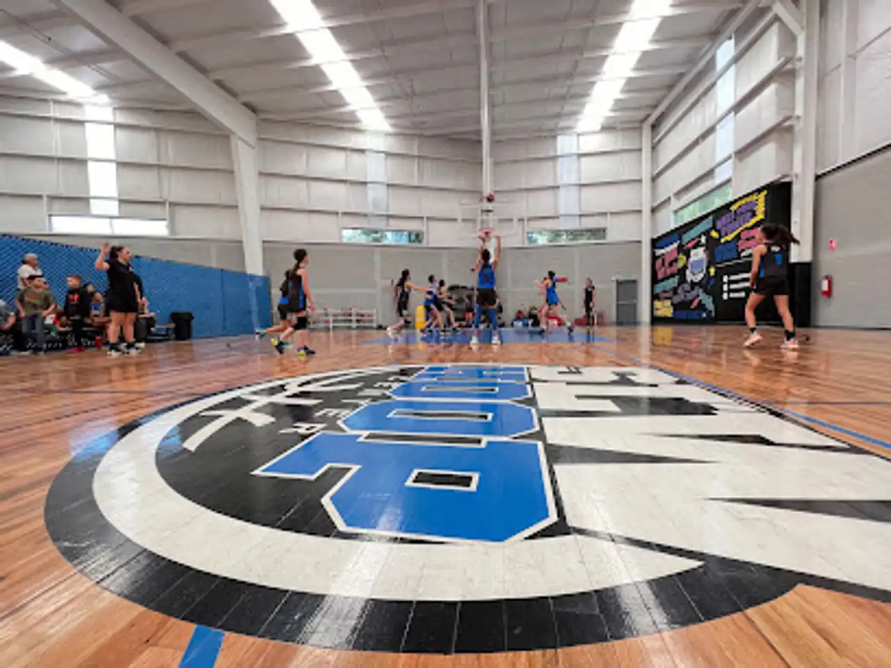 Las 10 Mejores Escuelas de Baloncesto para Niños en Saltillo (México)